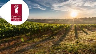 Références Vignerons indépendants de france.png